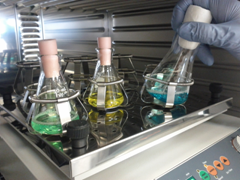 Picture of Laboratory